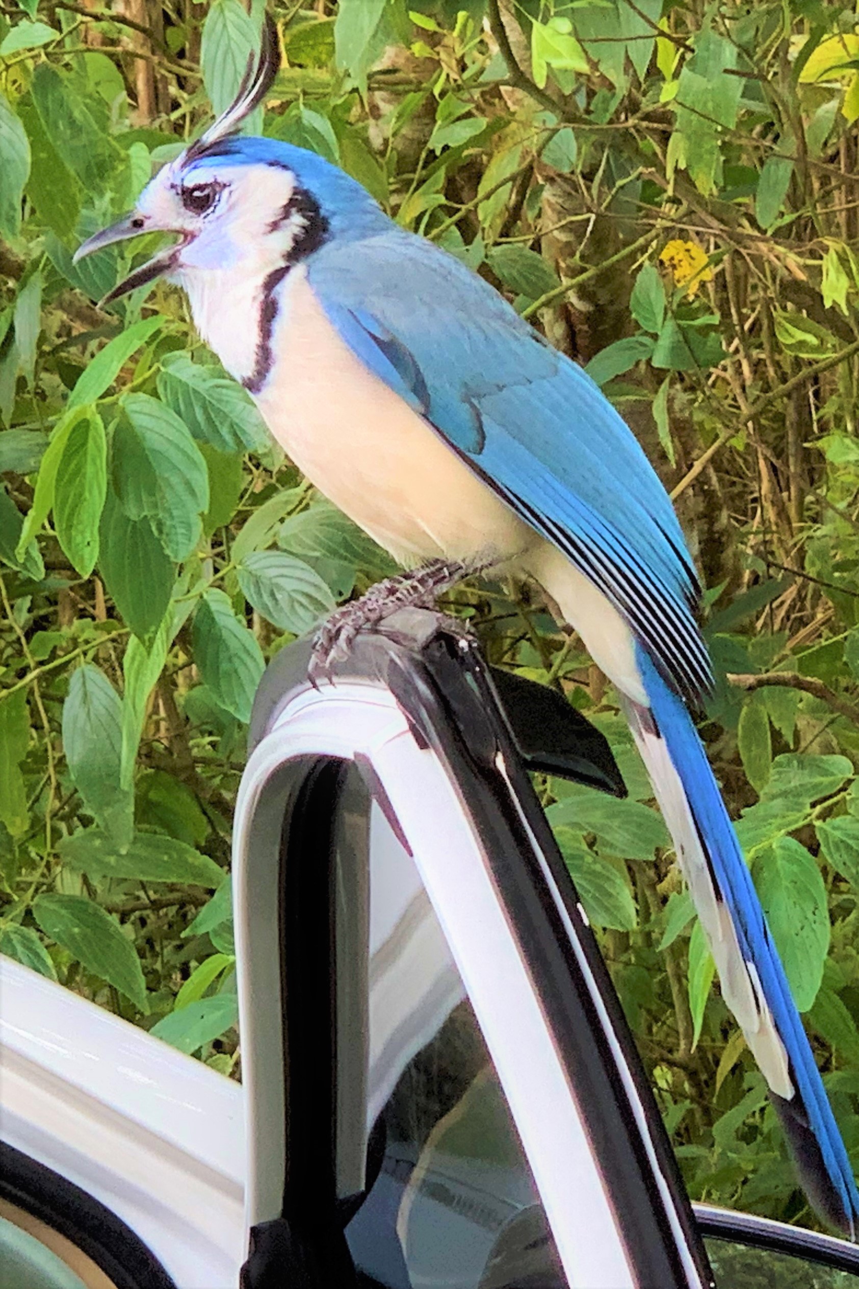 Costa Rica